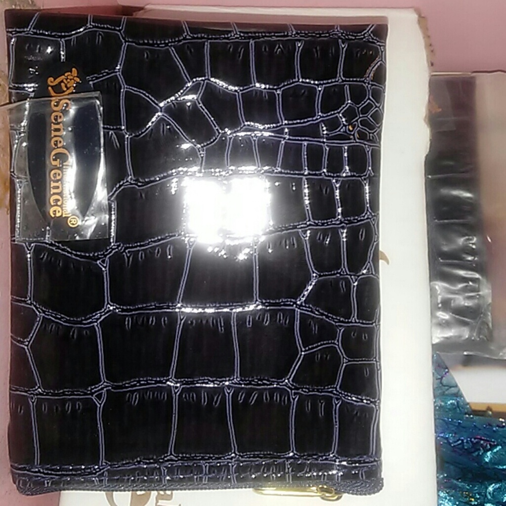 Senegence pouch and mini mirror.. 3 lip colors fit